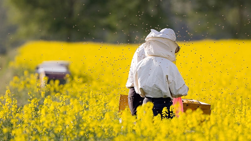 Gut Buechenau Imkerei